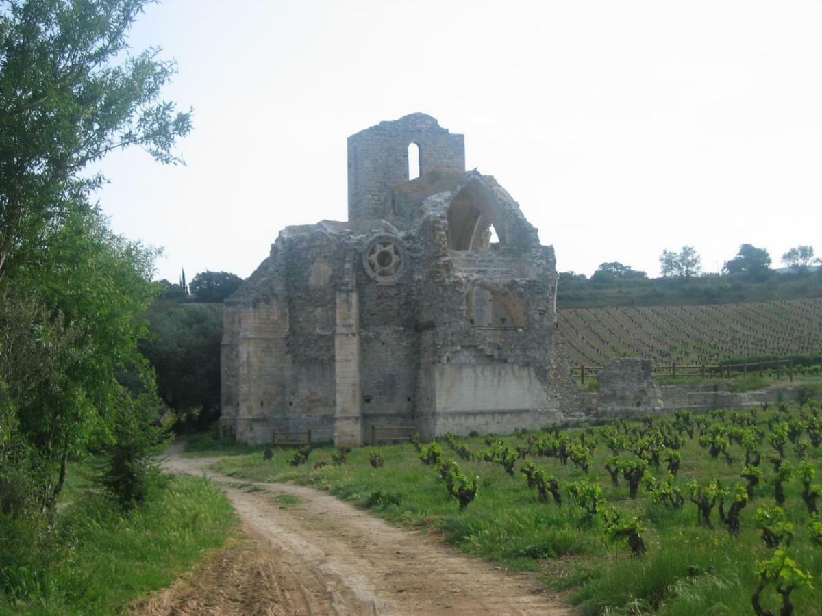 Maison De La Fontaine Embres-et-Castelmaure ภายนอก รูปภาพ